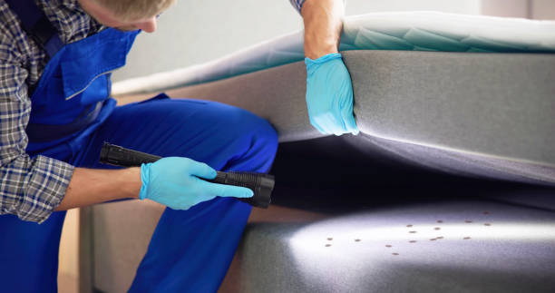Pest Control for Restaurants in University Heights, OH
