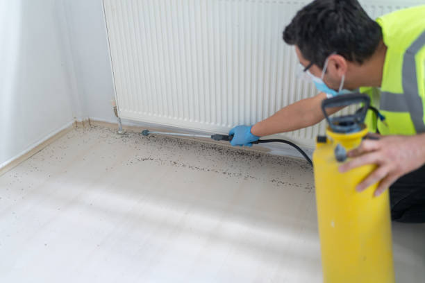 Best Pest Control Near Me  in University Heights, OH